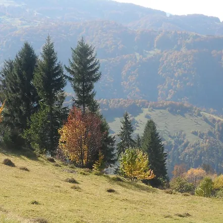 מלון Olenka רחיב