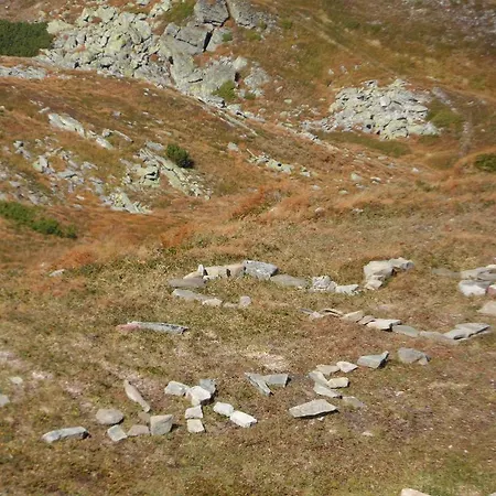 Olenka מלון רחיב