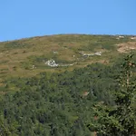 Olenka