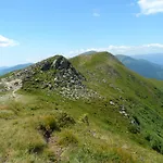Olenka *