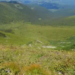 Olenka * Rachiv