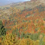 Olenka Hotell