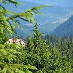Olenka