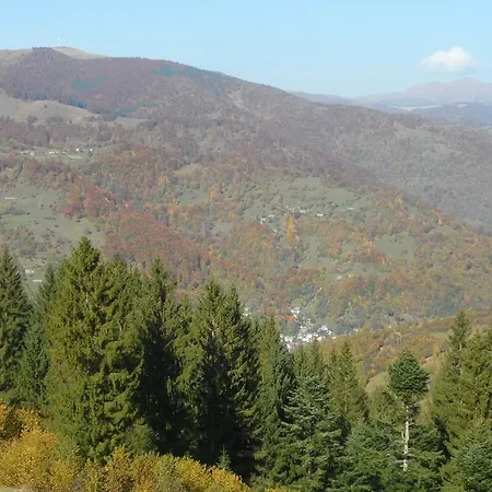 Olenka